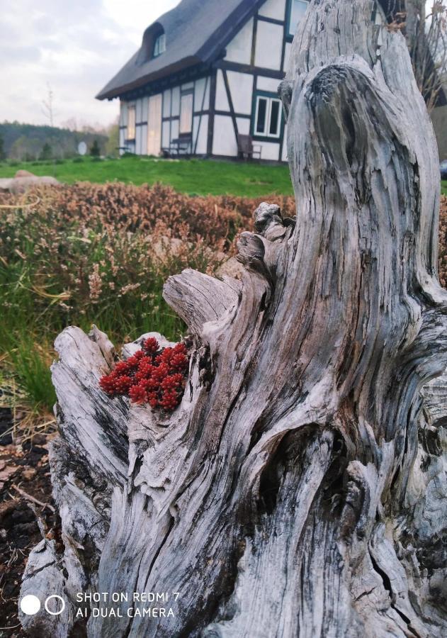 Villa Podroze Checz Charbrowo Esterno foto