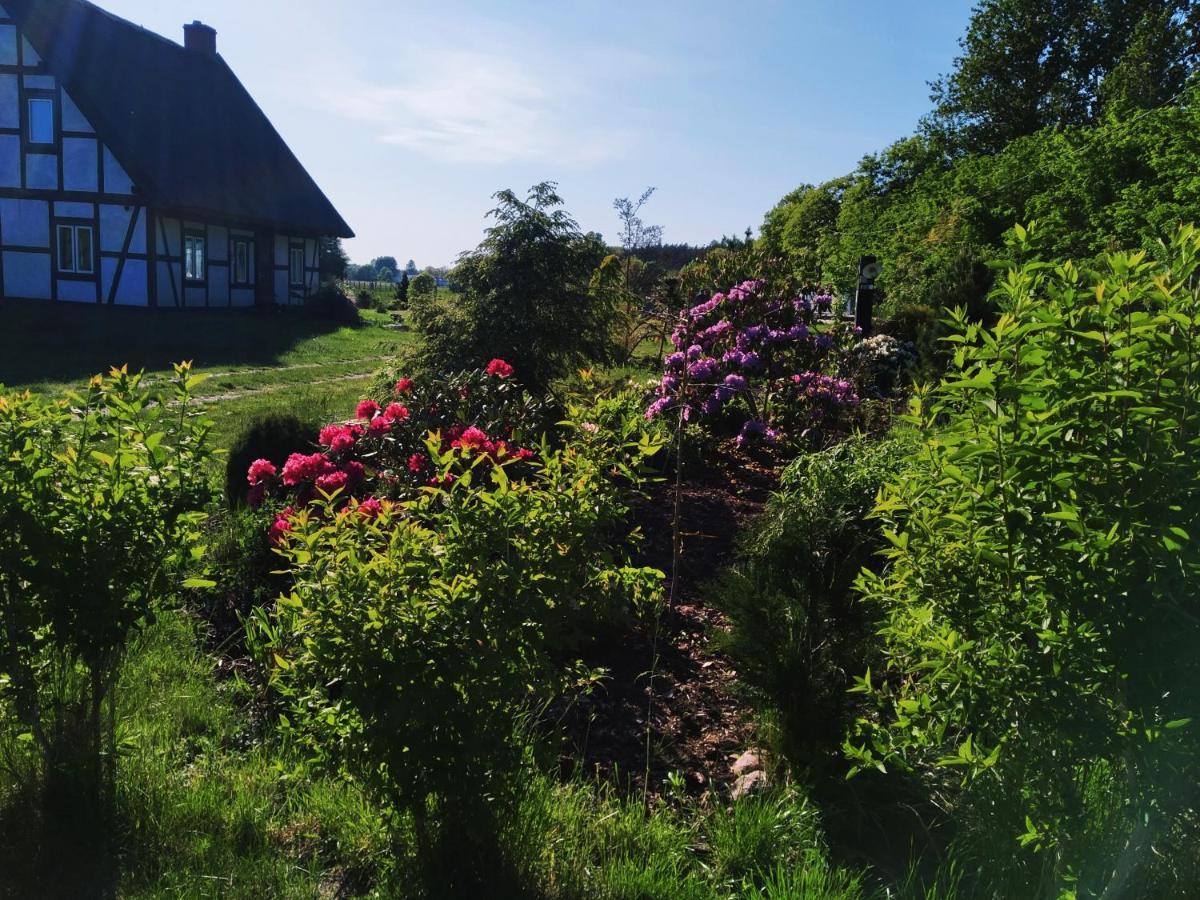 Villa Podroze Checz Charbrowo Esterno foto
