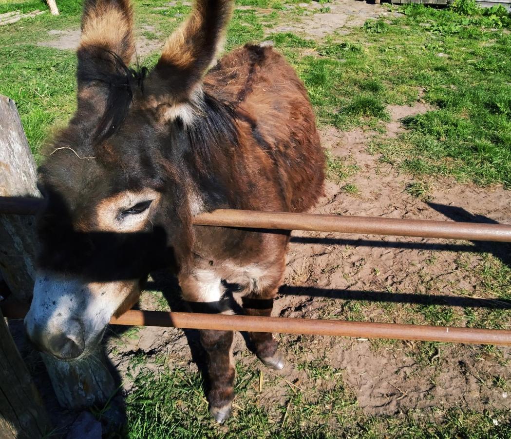 Villa Podroze Checz Charbrowo Esterno foto