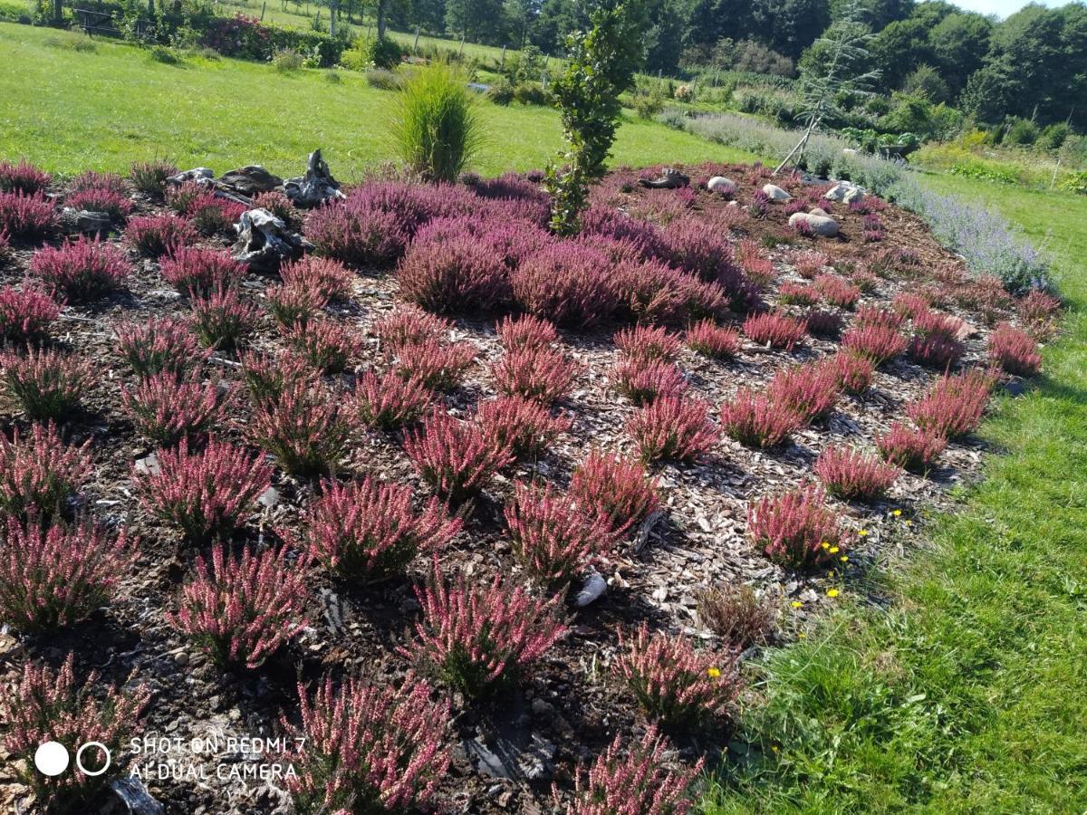 Villa Podroze Checz Charbrowo Esterno foto