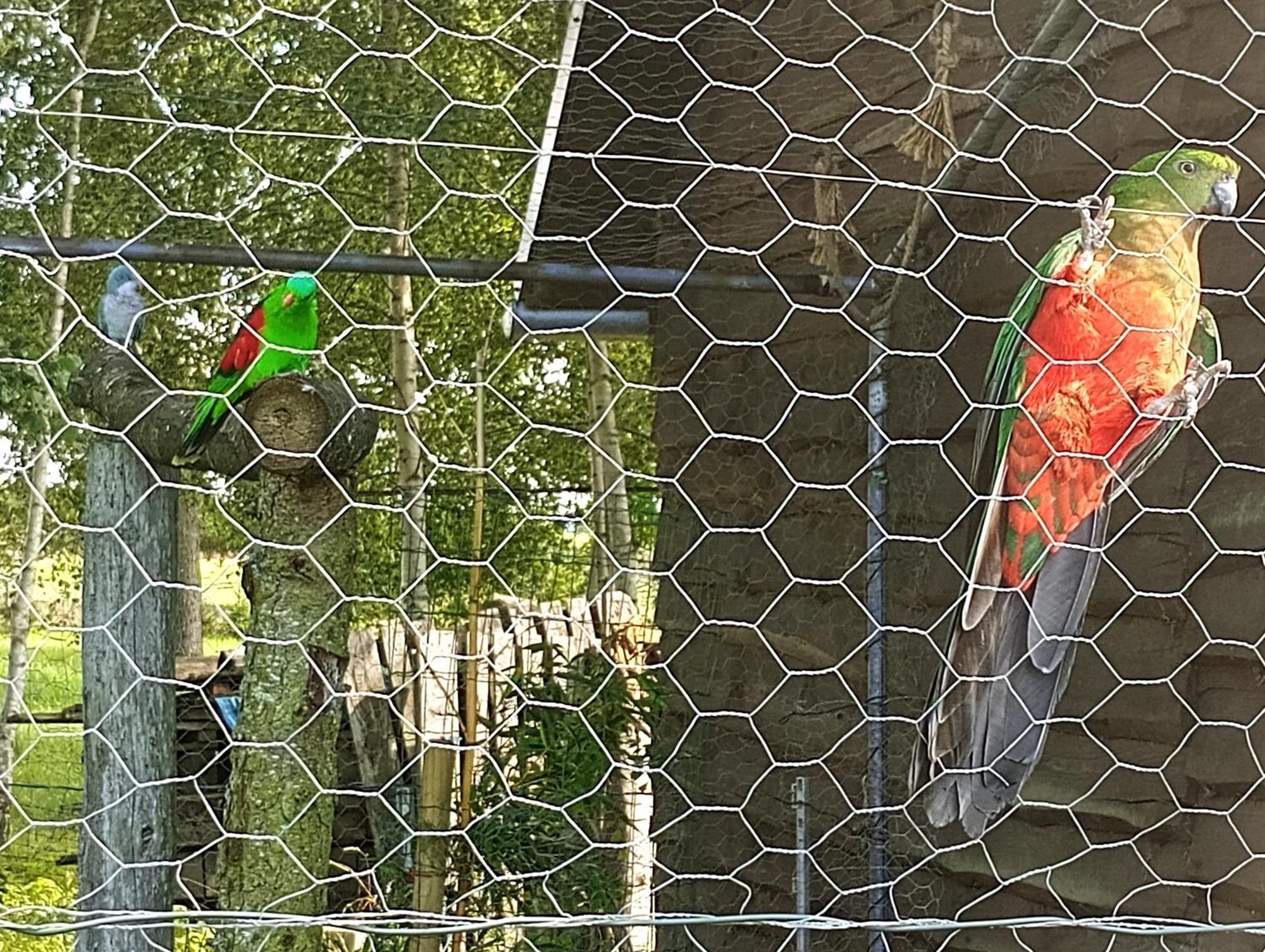 Villa Podroze Checz Charbrowo Esterno foto