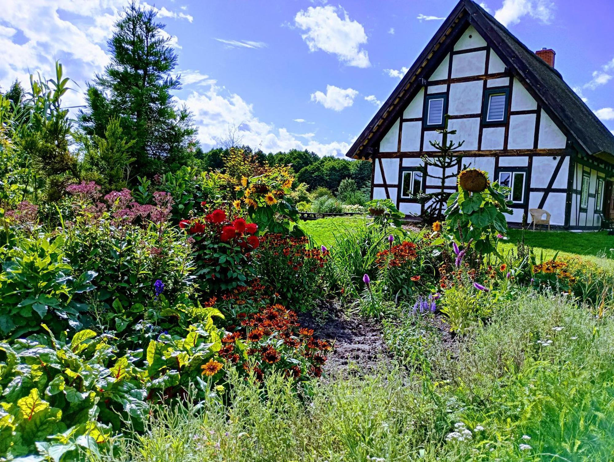 Villa Podroze Checz Charbrowo Esterno foto