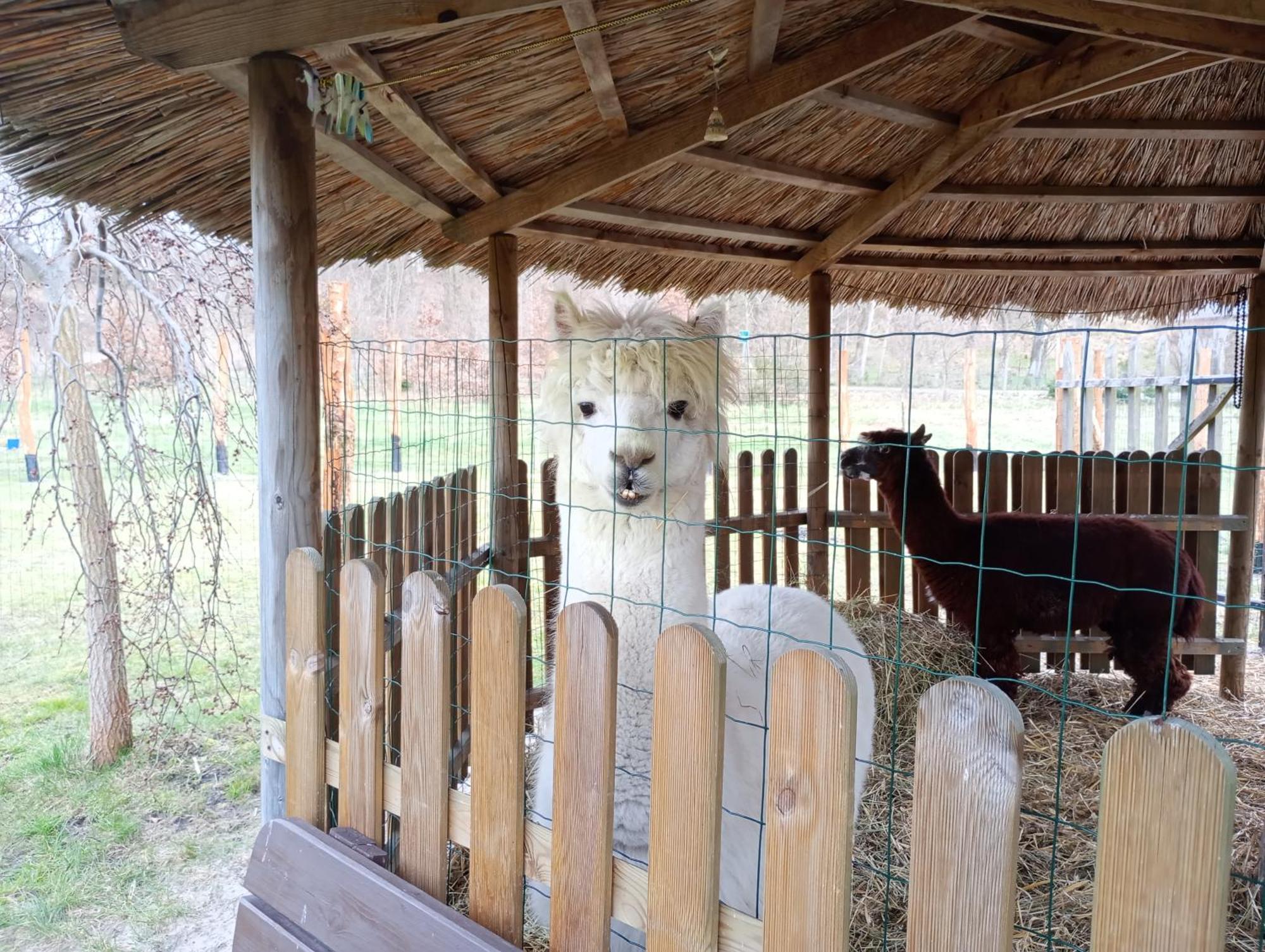 Villa Podroze Checz Charbrowo Esterno foto